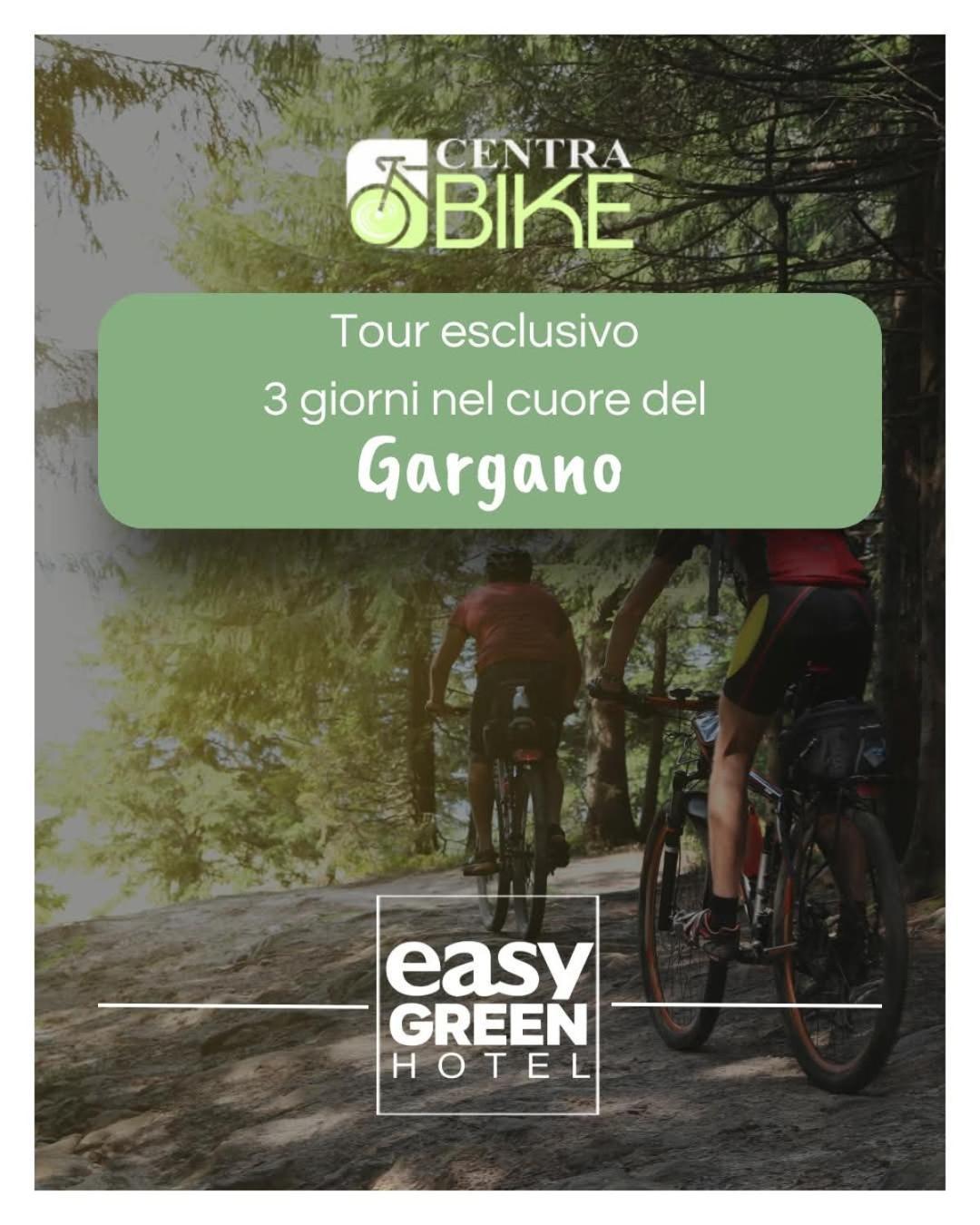 Easy San Giovanni Rotondo